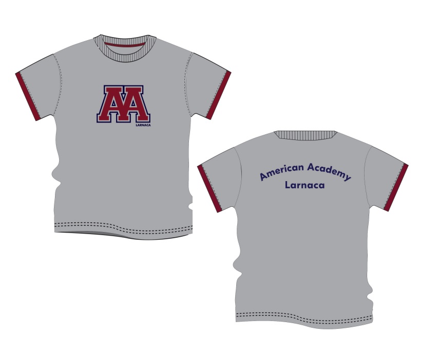 PE (Physical education) grey T- shirt