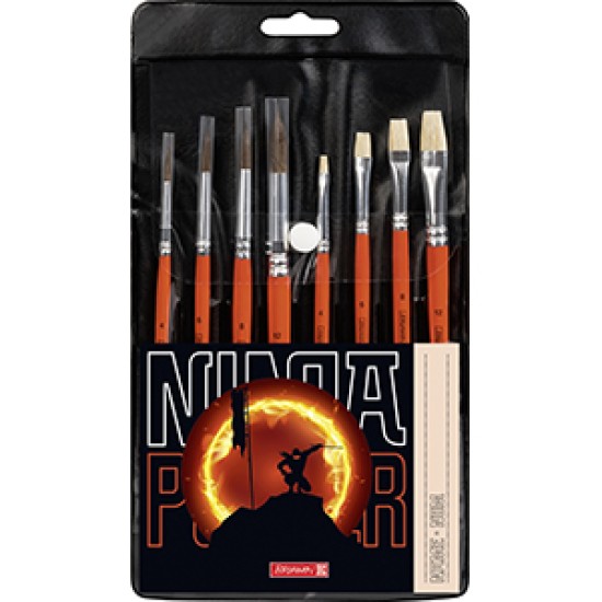 Ninja brush set
